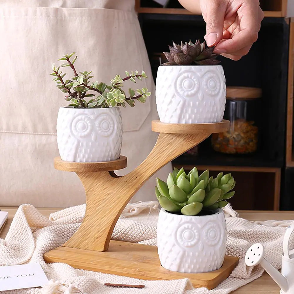 set of succulent pots Succulent Pots – My Store